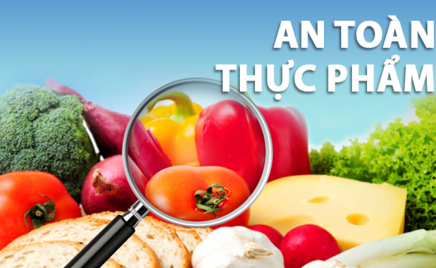 Hướng dẫn thủ tục cấp Giấy phép nhập khẩu giống cây trồng lâm nghiệp 2024